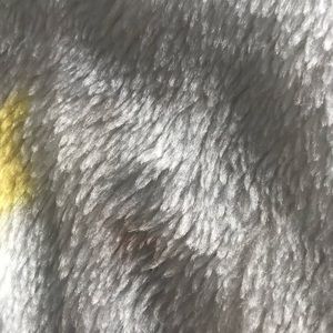 Baby Sylvester and baby tweety bird blanket